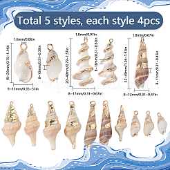 20Pcs 5 Styles Electroplate Shell Shapes Pendants&nbsp;SHEL-SC0001-58