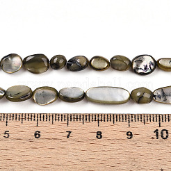 天然ホワイトシェルビーズ連売り  染め  ナゲット  ミックスカラー  5~17x4~17x2~7mm  穴：0.6mm  約41~54個/連  14.57~16.14インチ（37~41cm）&nbsp;SHEL-N036-21