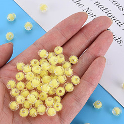 Transparent Acrylic Beads&nbsp;TACR-S152-17A-SS2105