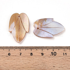 Natural Freshwater Shell Carved Pendants&nbsp;SHEL-N036-19