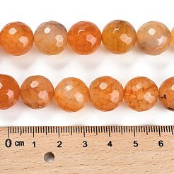 Natural Agate Beads Strands&nbsp;G-L595-A01-01B