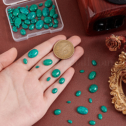 66Pcs 8 Styles Dyed Synthetic Turquoise Cabochons&nbsp;G-PH0002-67