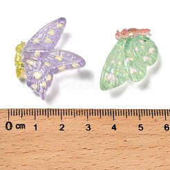 Transparent Resin Cabochon&nbsp;CRES-I044-14