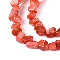 天然淡水シェルビーズ連売り  ナゲット  染め  トマト  0.5~8x3~7x3~7mm  穴：1mm  約86~108個/連  14.76~15.16インチ（37.5~38.5cm）&nbsp;SHEL-N037-04D