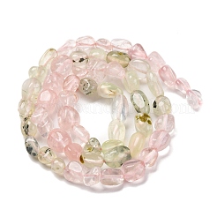 Natural Prehnite & Rose Quartz Beads Strands&nbsp;G-L610-B09-01
