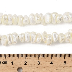 Electroplated Shell Pearl Beads Strands&nbsp;BSHE-M036-01A