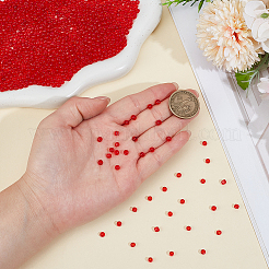 2500Pcs Glass Seed Beads&nbsp;SEED-PA0001-06A