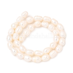 天然養殖淡水パールビーズ連売り  ライス  パパイヤホイップ  グレードAA  7~8mm  穴：0.6mm  約36~46個/連  13.39~13.58''（34~34.5センチメートル）&nbsp;PEAR-F020-04A-2A
