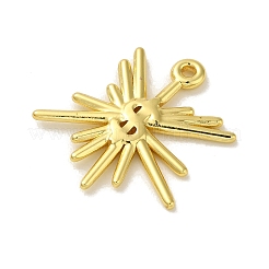 304 Stainless Steel Pendants&nbsp;STAS-Q322-06G