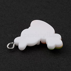 Opaque Resin Pendants&nbsp;LS-RESI-D064-02P-09