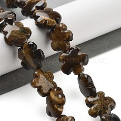 天然石タイガーアイビーズ連売り  花  16x16x6mm  穴：1.4mm  約25個/連  14.57~14.96インチ（37~38cm）&nbsp;G-F769-H01-01