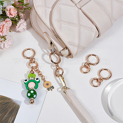 4 Sets Alloy Spring Gate Clasps&nbsp;FIND-BBC0004-11