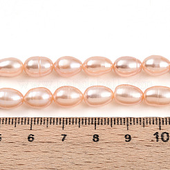 Natural Cultured Freshwater Pearl Beads Strands&nbsp;PEAR-N012-AA-02