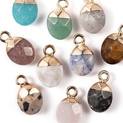 10Pcs 10 Style Natural Gemstone Charms&nbsp;G-LS0002-15