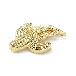 真鍮チャーム  丸カン付き  サボテン  18KGP本金メッキ  13x10x3mm  穴：3mm&nbsp;KK-L248-13G