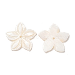 Natural Freshwater Shell Beads&nbsp;SHEL-F007-18