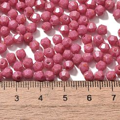 焼付塗装ガラスシードビーズ  双円錐形  フラミンゴ  4.5x4mm  穴：1.1mm  約142個/10g&nbsp;X1-SEED-A032-02A-04