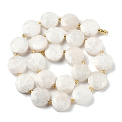 Natural Rainbow Moonstone Beads Strands&nbsp;G-C116-A168-03