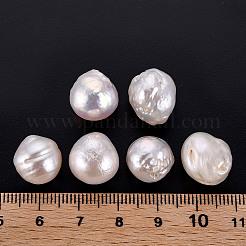天然バロックパールケシパールビーズ  養殖淡水パール  穴なし/ドリルなし  ナゲット  貝殻色  12~15x11~15mm&nbsp;PEAR-N020-J03