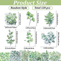 120Pcs 6 Styles Leaf PET Decorative Stickers&nbsp;DIY-SP0006-77
