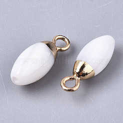 Natural Freshwater Shell Charms&nbsp;SHEL-N026-46