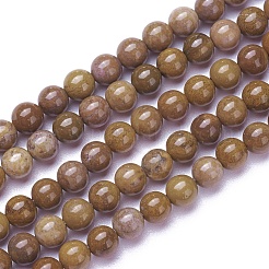 Natural Gemstone Beads Strands&nbsp;G-P424-D-4mm