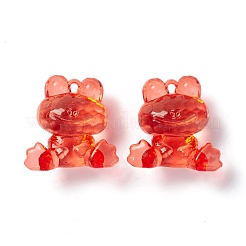 Transparent Acrylic Pendants&nbsp;TACR-K002-02