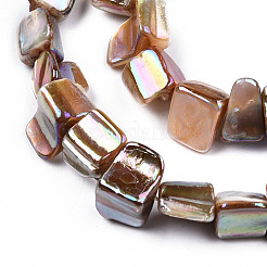 Natural Freshwater Shell Beads Strands&nbsp;SHEL-N026-211