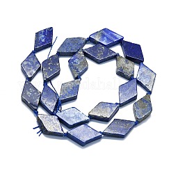 Natural Lapis Lazuli Beads Strands&nbsp;G-K245-E05-A02