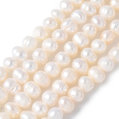 Natural Cultured Freshwater Pearl Beads Strands&nbsp;PEAR-I007-07Q-03C