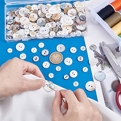 230Pcs 23 Styles 2-Hole Shell Flat Round Buttons&nbsp;BUTT-PH0001-37