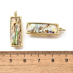 Natural Paua Shell & Epoxy Resin Pendants&nbsp;KK-E794-02G-07