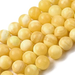 Natural Yellow Jade Beadd Strands&nbsp;G-A274-A01-12mm