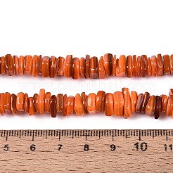 天然淡水シェルビーズ連売り  染め  チップ  サンゴ  5~27x5~27x0.5~6mm  穴：0.7~1mm  約155~165個/連  15.75~16.14インチ（40~41cm）&nbsp;SHEL-N037-01B