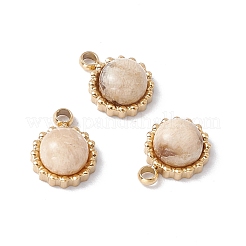 Natural Mixed Stone Charms&nbsp;STAS-H168-02G