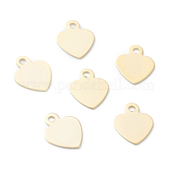 304 Stainless Steel Charms&nbsp;STAS-H149-19G