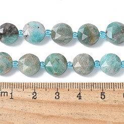 天然アマゾナイトビーズ連  フラットラウンド  ファセット六角形カットのコインビーズ  10x10~10.5x6~6.5mm  穴：1.2mm  約32個/連  15.55''（39.5センチメートル）&nbsp;G-C116-A88-01