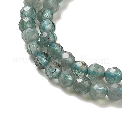Natural Apatite Beads Strands&nbsp;G-B074-B09-01