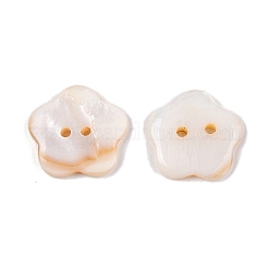 Freshwater Shell Buttons&nbsp;BUTT-T013-01