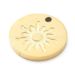 304 Stainless Steel Charms&nbsp;LS-STAS-I327-01G-02