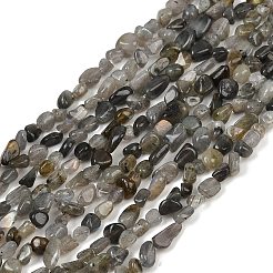 Natural Labradorite Beads Strands&nbsp;G-Q060-D02