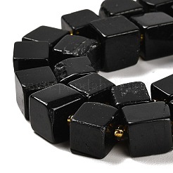 Natural Black Tourmaline Beads Strands&nbsp;G-G053-B08-01