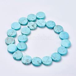 Natural Magnesite Beads Strands&nbsp;TURQ-K003-16