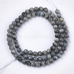 Natural Hawk's Eye Beads Strands&nbsp;G-S333-6mm-034