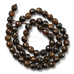 Natural Bronzite Beads Strands&nbsp;G-E571-42A