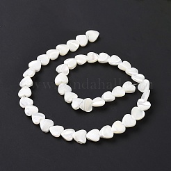 Natural Trochus Shell Beads Strands&nbsp;SSHEL-H070-06C