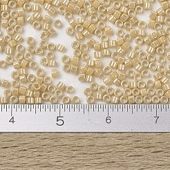 MIYUKI Delica Beads&nbsp;SEED-X0054-DB1571