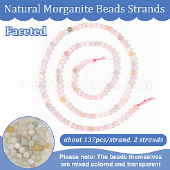 2 Strands Natural Morganite Beads Strands&nbsp;G-NB0004-76