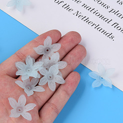 Transparent Acrylic Beads&nbsp;MACR-S373-127-D02