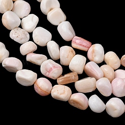 Natural Shell Beads Strands&nbsp;SHEL-K006-76